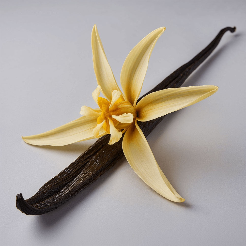 Fleck Tallow Whip
