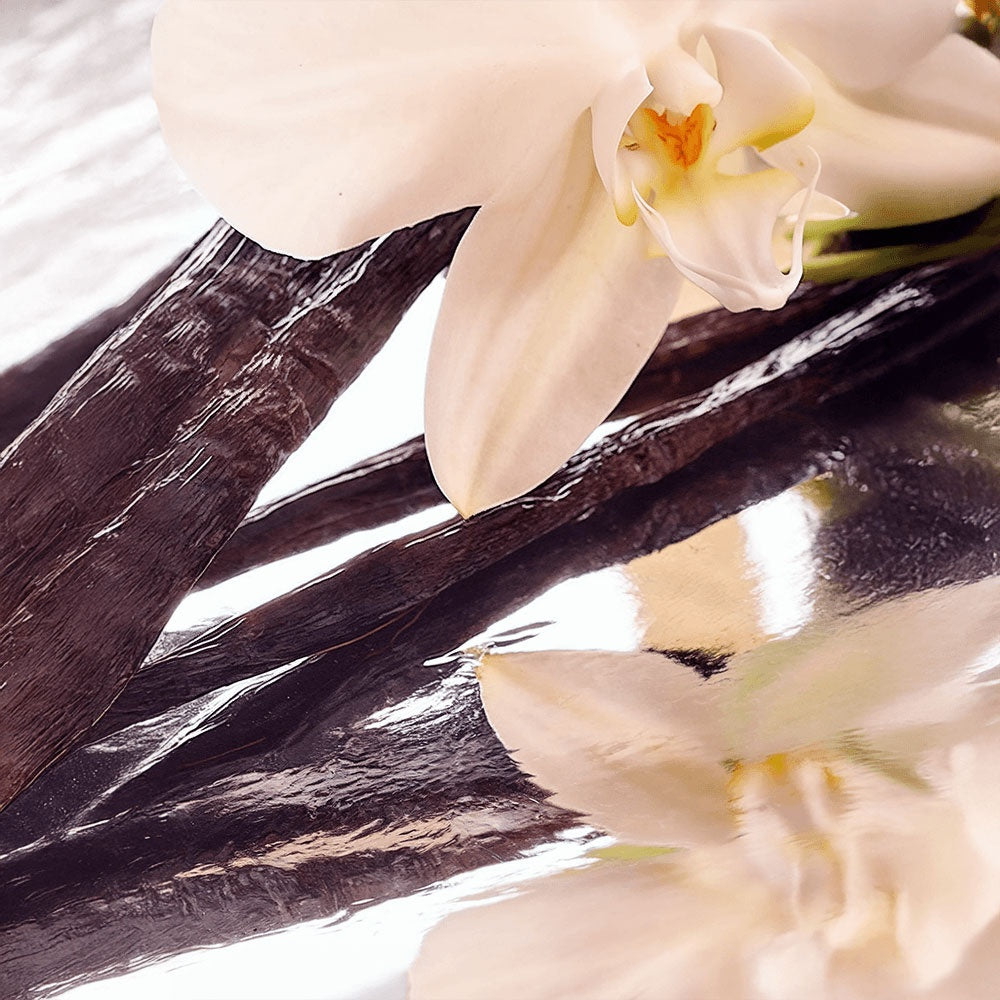 Fleck Tallow Whip Grass-Fed Tallow Balm with Vanilla Bean